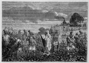 De wijnstokken ontworteld in de Galliërs, op bevel van keizer Domitianus - in De wonderen van de industrie door Louis Figuier, Parijs door Unknown artist