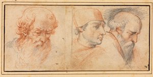 Drie Hoofdstudies