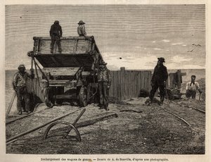 Lossen van guano-wagens op de Chincha-eilanden (Stille Oceaan, nabij de zuidwestkust van Peru), waarvan het belangrijkste belang de exploitatie van guano-afzettingen was (gebruikt als meststof), afzettingen op granieten kliffen die dienen als toevluchtsoor door Unknown artist