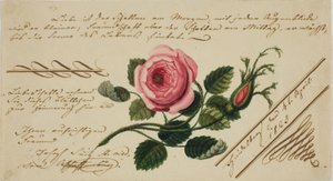 Ongenoemde Valentijn (Roze Bloem) door Unknown artist