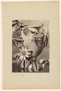 [Vaas met passiebloemen]. door Unknown artist