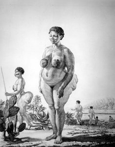 Venus Hottentot van Zuid-Afrika door Unknown artist