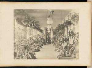 Veranda. Regeringshuis. Maurituis.
