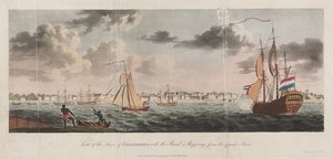 Uitzicht op de stad Paramaribo, met de weg en schepen vanaf de overkant