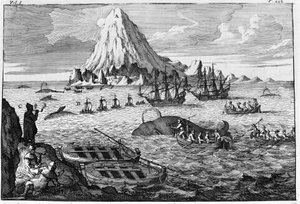 Walvisvangst bij het eiland Jan Mayen (gravure begin 18e eeuw)