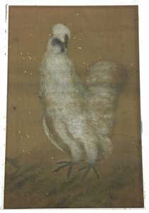 White Rooster door Unknown artist
