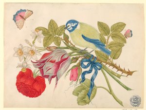 Geel-en-blauwe vogel op boeket met roos, tulpen en narcissen, met vlinders door Unknown artist