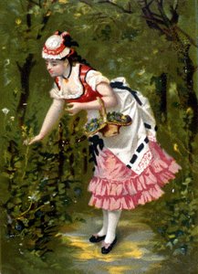 Jonge vrouw die bloemen plukt. Chromolithografie