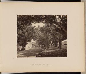 Het Oriental Hotel, Galle, Ceylon