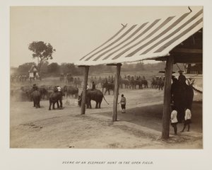 Foto in fotoalbum