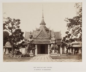 Foto in fotoalbum