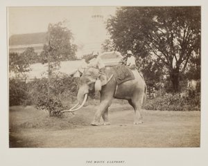 Foto in fotoalbum door Unknown photographer