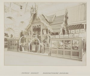 Foto in fotoalbum