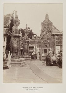 Foto in fotoalbum