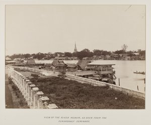 Foto in fotoalbum