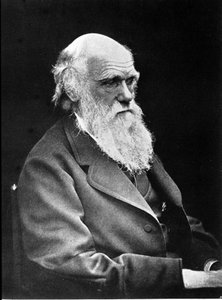 Fotografisch portret van Charles Darwin (1809 - 1882), Engelse natuuronderzoeker. 1881