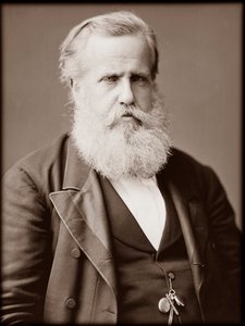 Portret van Dom Pedro II (Peter II) (Dom Pedro de Alcantara) (1825-1891), Keizer van Brazilië