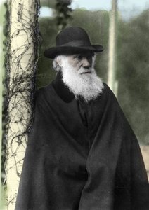 Portretfoto van Charles Darwin (1809 - 1882), Engelse natuuronderzoeker in 1881. door Unknown photographer