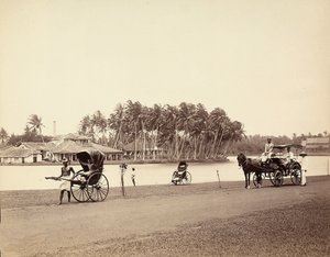 Riksja en kar aan de oevers van een Indiase rivier