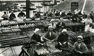 Sardine-industrie, Finistère, Bretagne (z/w foto) door Unknown photographer