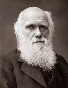 De Engelse natuuronderzoeker Charles Robert Darwin (1809-1882) door Unknown photographer