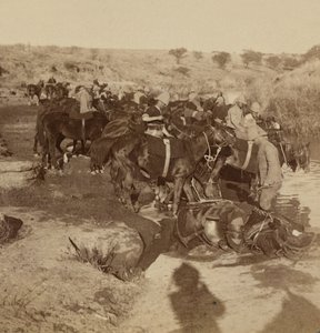Artilleriepaarden water geven, Welgelegen, Zuid-Afrika