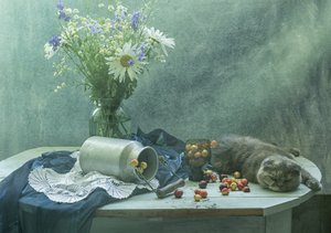 Slapende kat en kersen door UstinaGreen