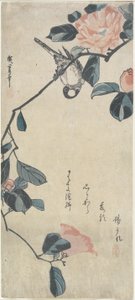 (Vogel op Camellia), begin 19e eeuw