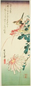 Vogel en chrysanten door Utagawa Hiroshige