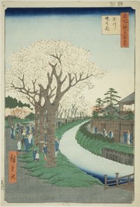 Bloesems op de Tama Rivier Dijk (Tamagawa-zutsumi no hana), uit de serie "Honderd beroemde uitzichten van Edo (Meisho Edo hyakkei)" door Utagawa Hiroshige