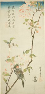 Goudvink op aroniatak door Utagawa Hiroshige