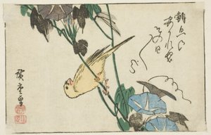 Kanarie en Morgenroosjes door Utagawa Hiroshige