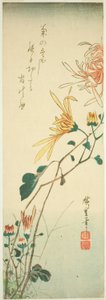 Chrysanten door Utagawa Hiroshige