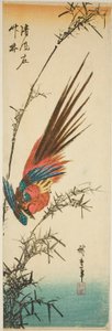 Koperfazant en bamboe door Utagawa Hiroshige