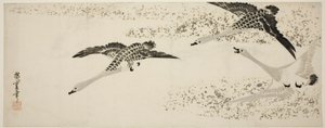 Dalende ganzen door Utagawa Hiroshige