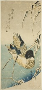 Eenden in de Sneeuw door Utagawa Hiroshige