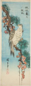 Valk op met klimop bedekte dennenboomtak door Utagawa Hiroshige