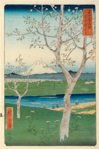 Fuji vanuit Koshigaya, Mushashi, nr.14 uit de serie 