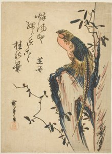 Gouden fazant door Utagawa Hiroshige