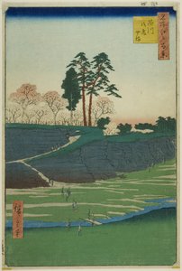 Goten Hill bij Shinagawa (Shinagawa Gotenyama), uit de serie "One Hundred Famous Views of Edo (Meisho Edo hyakkei)"v door Utagawa Hiroshige