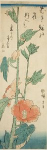 Hibiscus door Utagawa Hiroshige
