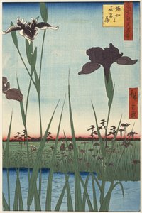 Horikiri Iris Tuin (Horikiri no hanashōbu), uit de serie Honderd beroemde uitzichten van Edo (Meisho Edo hyakkei) door Utagawa Hiroshige