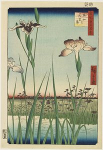 Iristuin in Horikiri, mei 1857