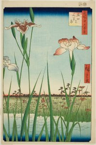 Iris bij Horikiri (Horikiri no hanashobu), uit de serie "Honderd beroemde uitzichten van Edo (Meisho Edo hyakkei)" door Utagawa Hiroshige