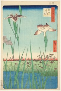 Iris bij Horikiri (Horikiri no hanashobu), uit de serie "Honderd beroemde uitzichten van Edo (Meisho Edo hyakkei)"