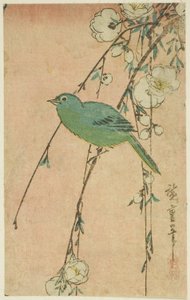 Japanse wit-oog en treurkers door Utagawa Hiroshige