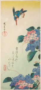 IJsvogel en hortensia door Utagawa Hiroshige