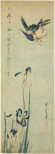 IJsvogel en Iris door Utagawa Hiroshige