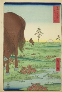 Kogane Vlakte in de Provincie Shimosa (Shimosa Koganehara), uit de serie "Zesendertig Zichten op de Berg Fuji (Fuji sanjurokkei)"