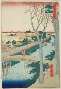 Koume Embankment (Koumezutsumi), nr.104 uit de serie "Honderd beroemde vergezichten van Edo (Meisho Edo hyakkei)". door Utagawa Hiroshige
